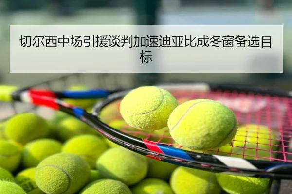 切尔西中场引援谈判加速迪亚比成冬窗备选目标