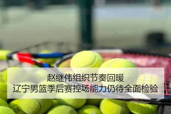 赵继伟组织节奏回暖 辽宁男篮季后赛控场能力仍待全面检验