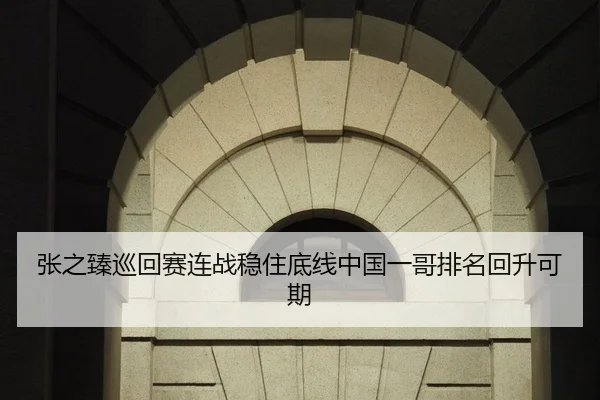 张之臻巡回赛连战稳住底线中国一哥排名回升可期